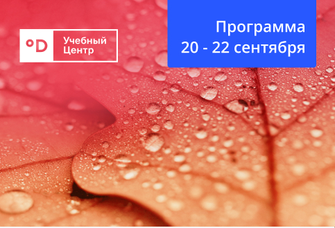 Кондиционеры оптом в Daichi Business